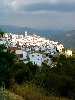 Click here to see the picture (spain280902_15_algatocin.jpg)