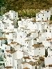 Click here to see the picture (spain290902_16_casares.jpg)