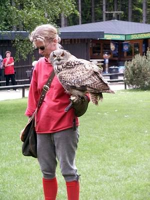 camping0503_52_wildpark_hellenthal