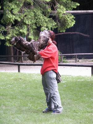 camping0503_53_wildpark_hellenthal