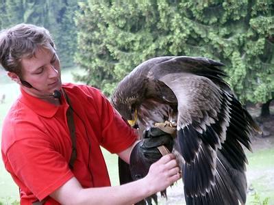 camping0503_58_wildpark_hellenthal