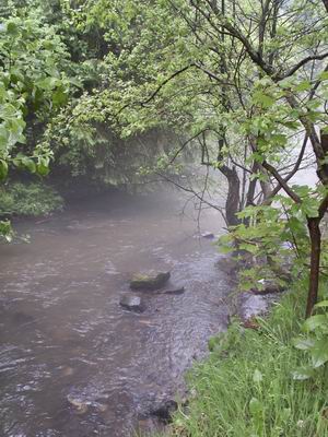 camping0503_71_fog