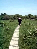 Click here to see the picture (camping0603_hohevenn_silkie_marlies.jpg)