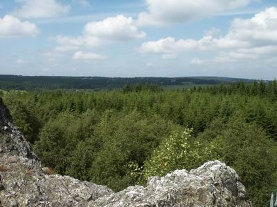 camping0703_kalterherberg_11_view