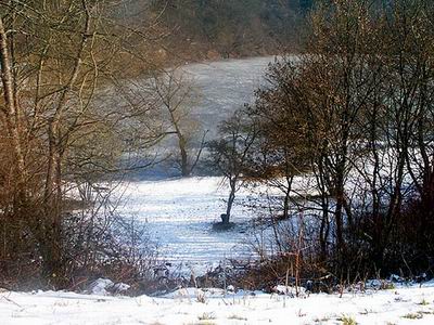 heilbachsee130203_22_gemuendener_maar3