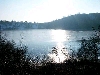 Click here to see the picture (heilbachsee130203_29_weinfelder_maar.jpg)