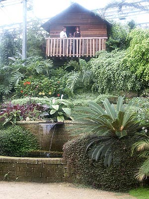 terhorst230803_25_mondoverde_tropics