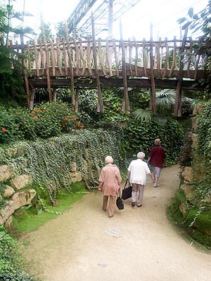 terhorst230803_27_mondoverde_tropics