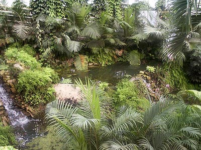 terhorst230803_29_mondoverde_tropics