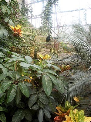 terhorst230803_30_mondoverde_tropics