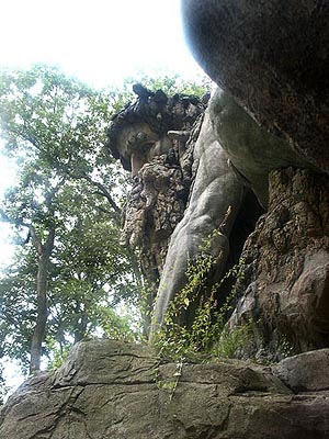 terhorst230803_56_mondoverde_14m_giant_woodoffollies