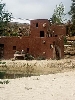 Click here to see the picture (terhorst230803_63_mondoverde_desert.jpg)