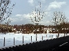 Click here to see the picture (bam290104_09_area_badmuenstereifel.jpg)