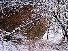 Click here to see the picture (bam290104_14_badmuenstereifel.jpg)