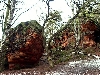 Click here to see the picture (bam310104_17_katzensteine_mechernich.jpg)