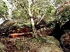Click here to see the picture (bam310104_21_katzensteine_mechernich.jpg)