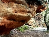 Click here to see the picture (bam310104_27_katzensteine_mechernich.jpg)