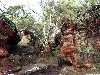 Click here to see the picture (bam310104_28_katzensteine_mechernich.jpg)