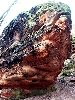 Click here to see the picture (bam310104_29_katzensteine_mechernich.jpg)