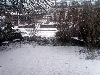 Click here to see the picture (snow270205_2.jpg)