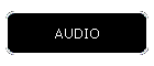 AUDIO