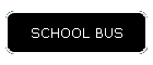 SCHOOL BUS