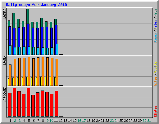 Daily usage for January 2010