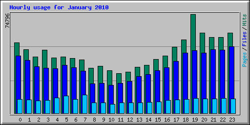 Hourly usage for January 2010