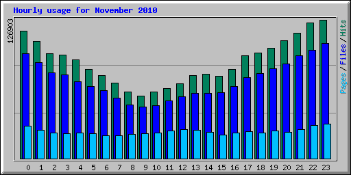Hourly usage for November 2010