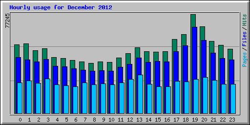 Hourly usage for December 2012