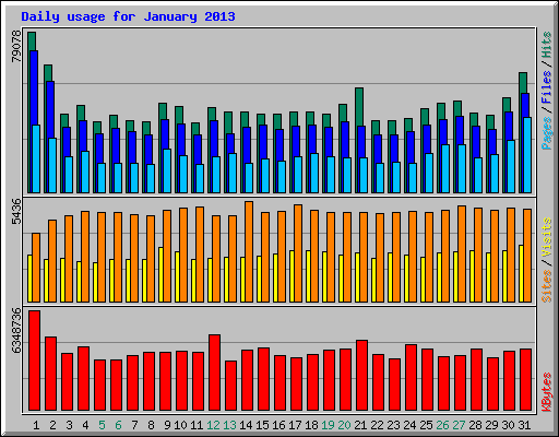 Daily usage for January 2013