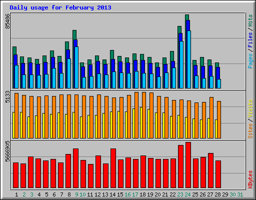 Daily usage for February 2013