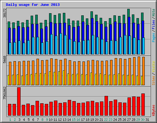 Daily usage for June 2013