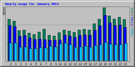 Hourly usage for January 2013