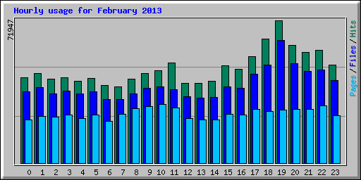 Hourly usage for February 2013