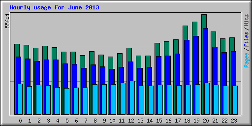 Hourly usage for June 2013