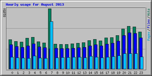 Hourly usage for August 2013