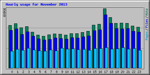 Hourly usage for November 2013