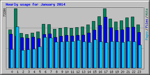 Hourly usage for January 2014