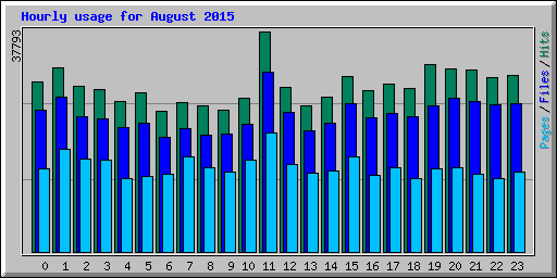 Hourly usage for August 2015