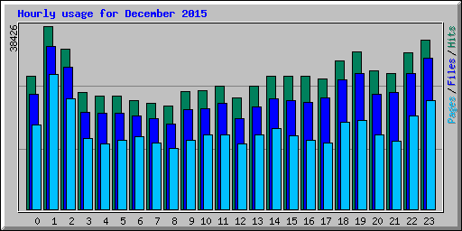 Hourly usage for December 2015