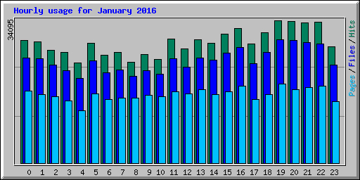 Hourly usage for January 2016