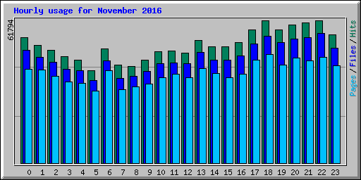 Hourly usage for November 2016