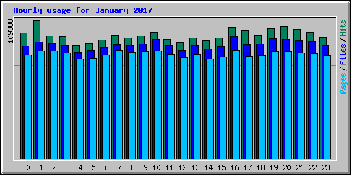 Hourly usage for January 2017