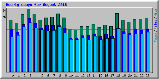 Hourly usage for August 2018