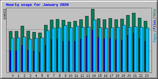 Hourly usage for January 2020