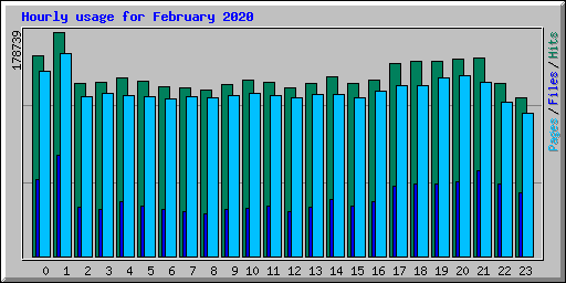 Hourly usage for February 2020