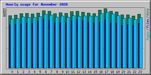 Hourly usage for November 2020