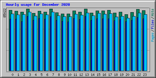 Hourly usage for December 2020