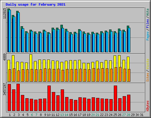 Daily usage for February 2021